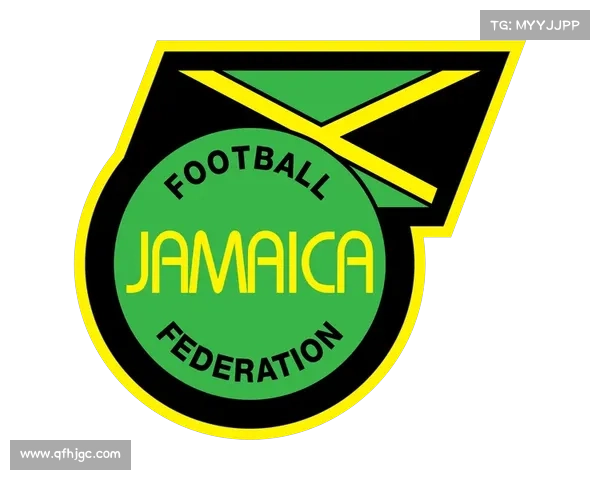 如何从象征意义和功能角度理解足协与队徽的本质差异